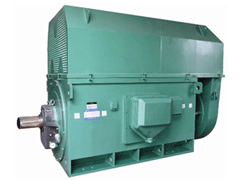 YJTFKK6301-6Y系列6KV高压电机